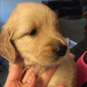 Meet your Posher, Eileen